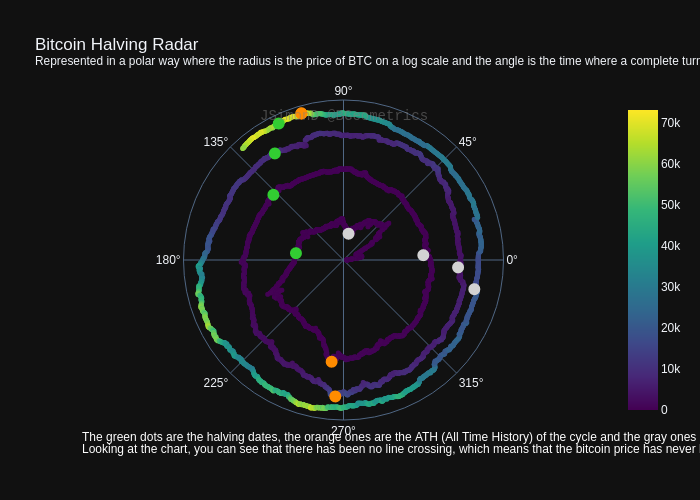 Bitcoin Price Halving Radar Chart